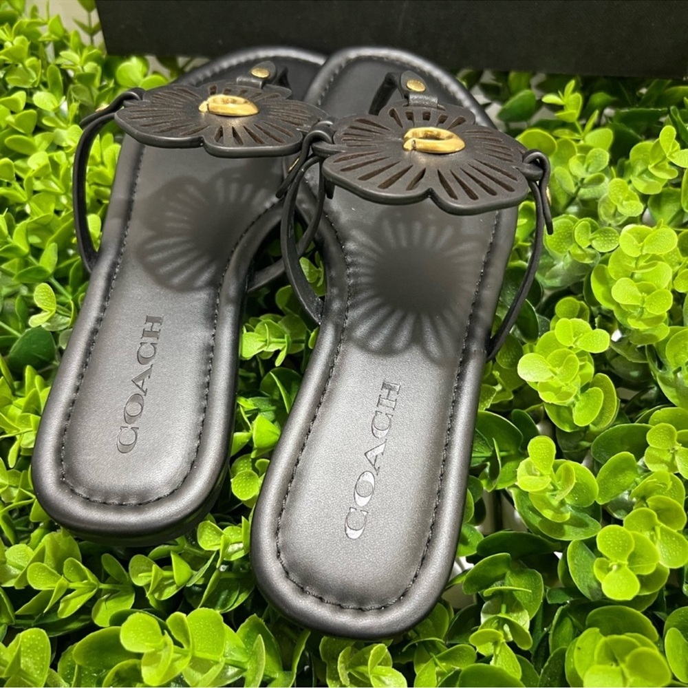 Coach Black Sandals with Sleek Design - Picture 12 of 13